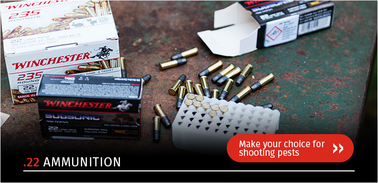.22 ammunition for pest hunting